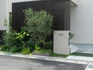 山梨県甲府市の外構施工例。モダンなデザインにアオダモ等の植栽と割栗石を組み合わせた、おしゃれなナチュラルモダンなアプローチ。